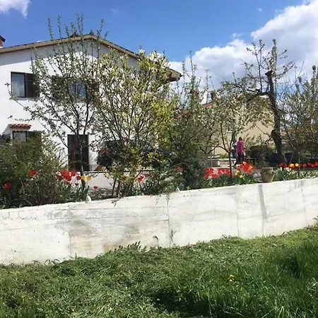 Sezana * Lokev